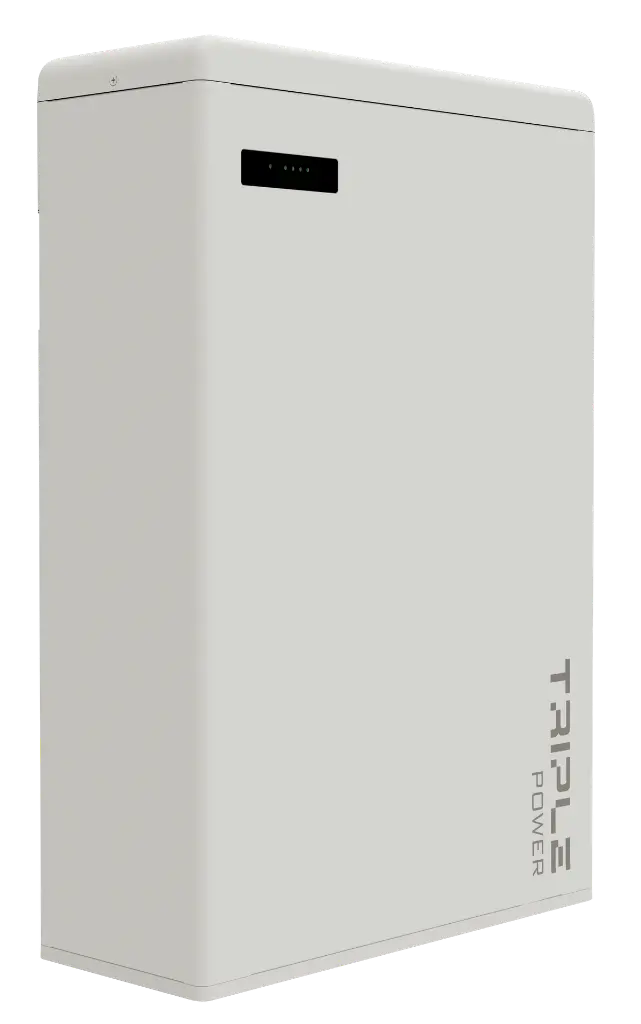 T-BAT H 5.8 master V2 LEFT.webp