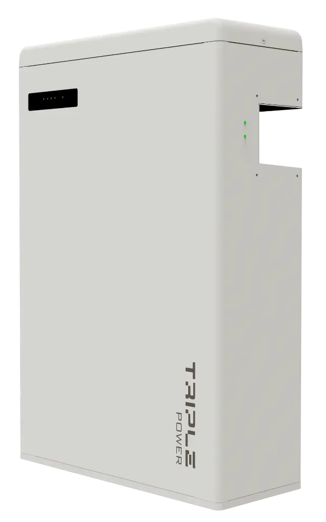 T-BAT H 5.8 master V2 right.webp