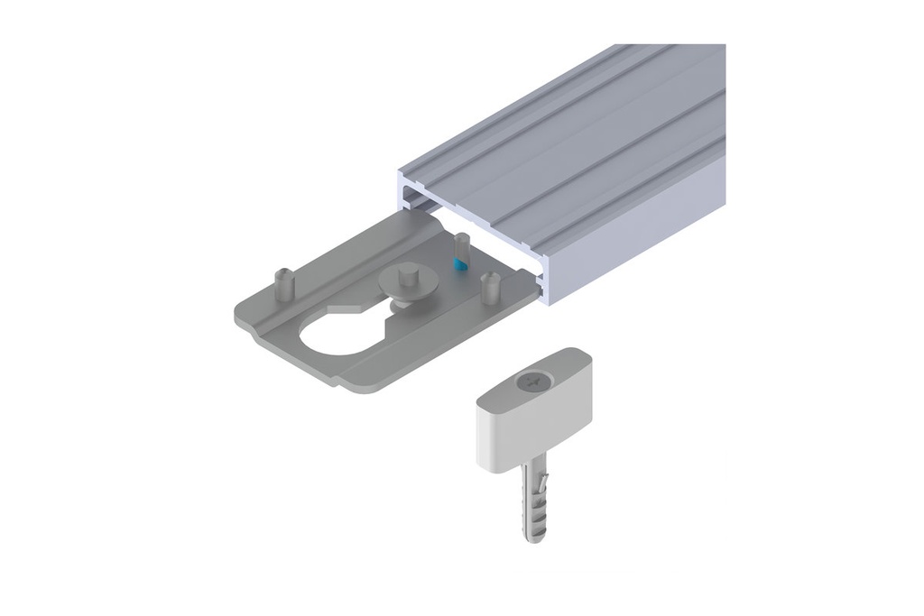 Flachlitzentraeger Nr, 137